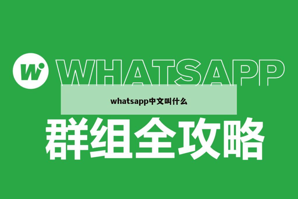 whatsapp中文叫什么